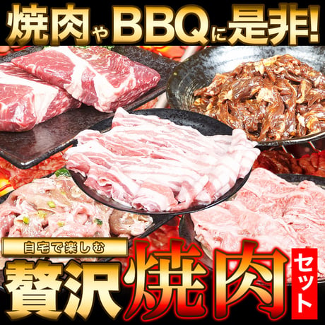 【冷凍便】5種の味をたっぷり堪能！焼肉豪華セット5種 1.2kg※離島配送不可