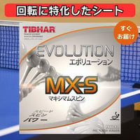 卓球 ラバー エボリューション MX-S MXS  ティバー TIBHAR エボリューション MX-S