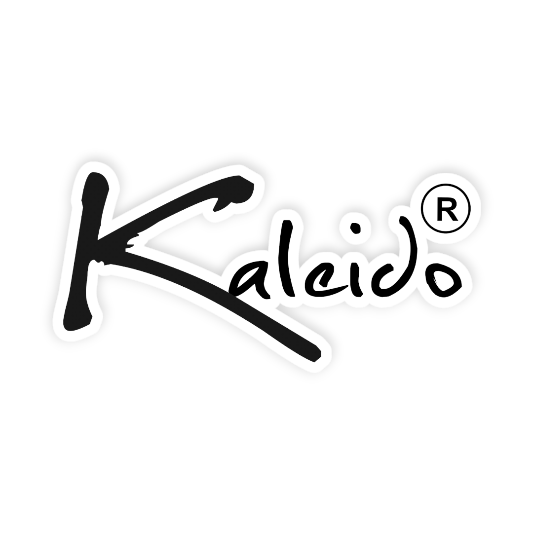 KALEIDO SNIPER 電気焙煎機 | 日本正規取扱店