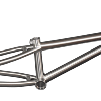 NEW TYPE TITANIUM FRAME
