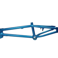 NAUGHTY FRAME & FORK ALLOY 7075 16inch