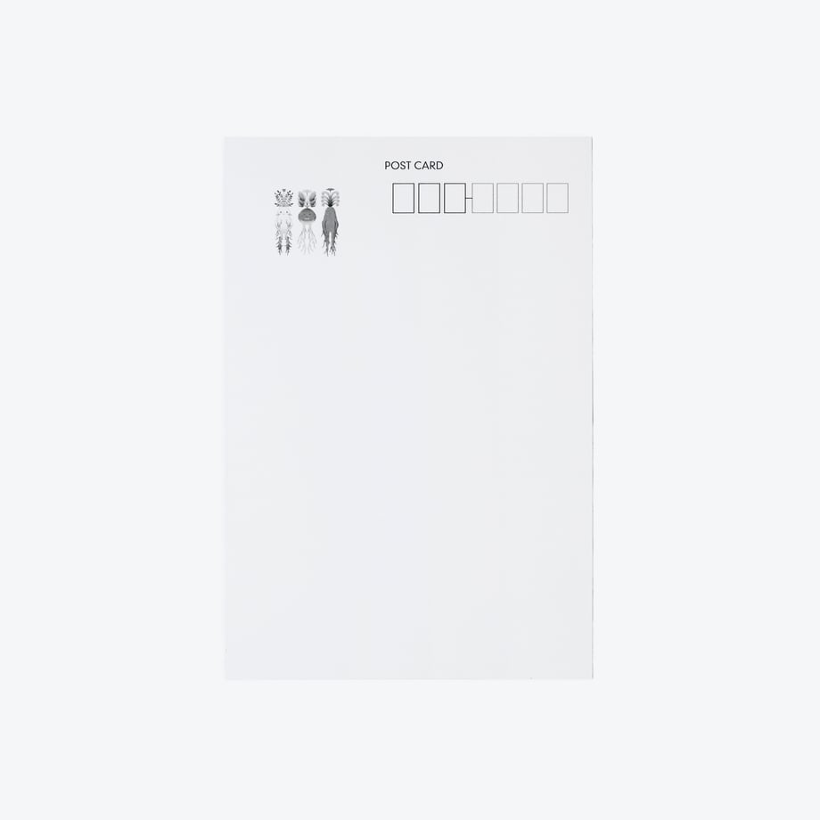 6a01a52256efca1029ffd6e5