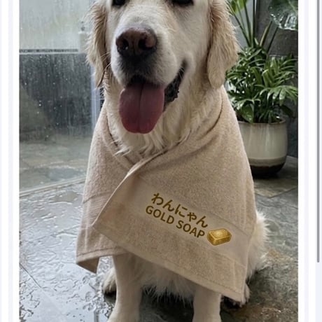 キダチアロエとまこも入り犬の石けん　昆布入りしっとりタイプ =真夏用= 【ご予約受付中】（6月30日より新発売）