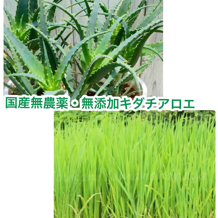 69d3563b953729006bc81208