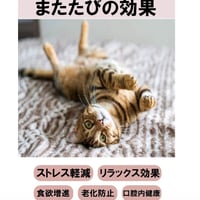 またたび入り猫の受注生産石けん　1個注文