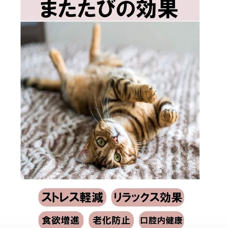 6a29a8f26aabc3ee81f0169d