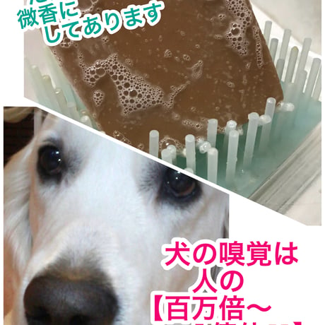 キダチアロエとまこも入り犬の石けん　消臭さっぱりクレイ入り犬の石けん =真夏用= 【ご予約受付中】（6月23日より新発売）