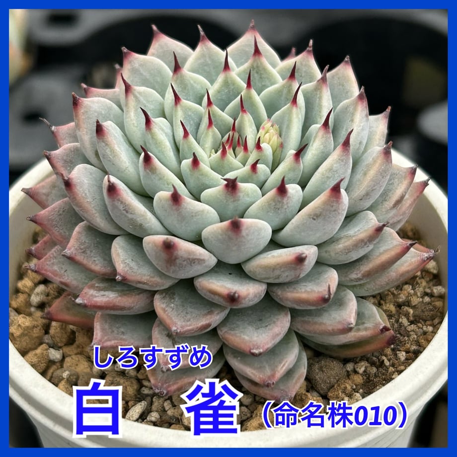69db34f7f56a72359ffeadf3