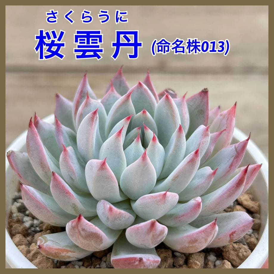 6ad9297c84a13970dd66989b