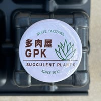 多肉屋GPK缶バッジ　ロゴマーク