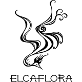 ELCAFLORA