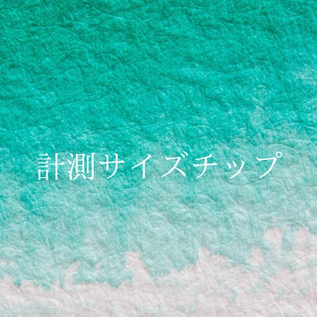 ネイルチップオーダー | STORES