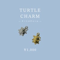 Turtle charm