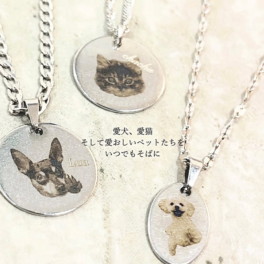 6a20d91a8ea9bd06f11b6702