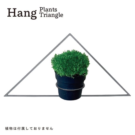 Hang Plants シリーズ Triangle 黒皮鉄 ハンギングプランツ