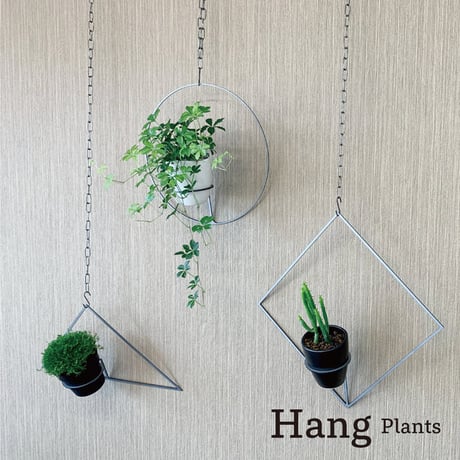 Hang Plants シリーズ Triangle 黒皮鉄 ハンギングプランツ