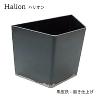 Halion（ハリオン）黒皮鉄 ブックエンド+ペンたて