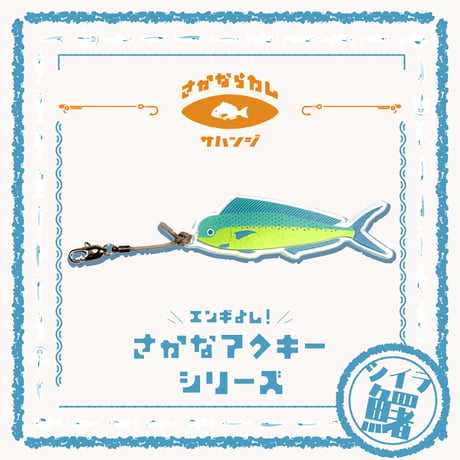 シイラ | STORES