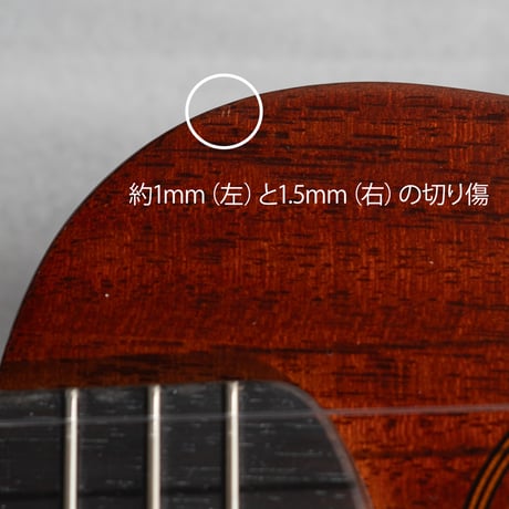 【アウトレット】CULTIVATE UKULELE D0M+（フィジーマホガニー）ソプラノウクレレ #25049