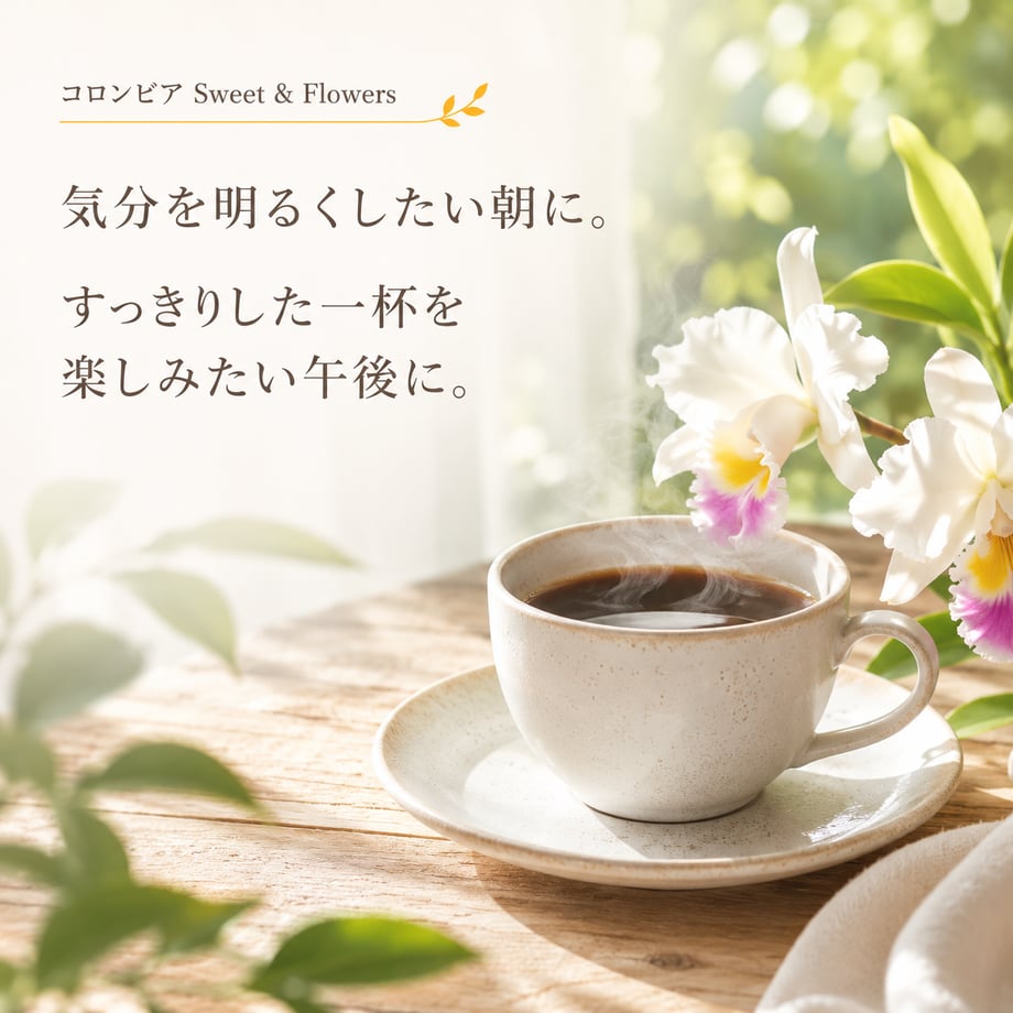 6a1551ab1d2b9a20ea924acf
