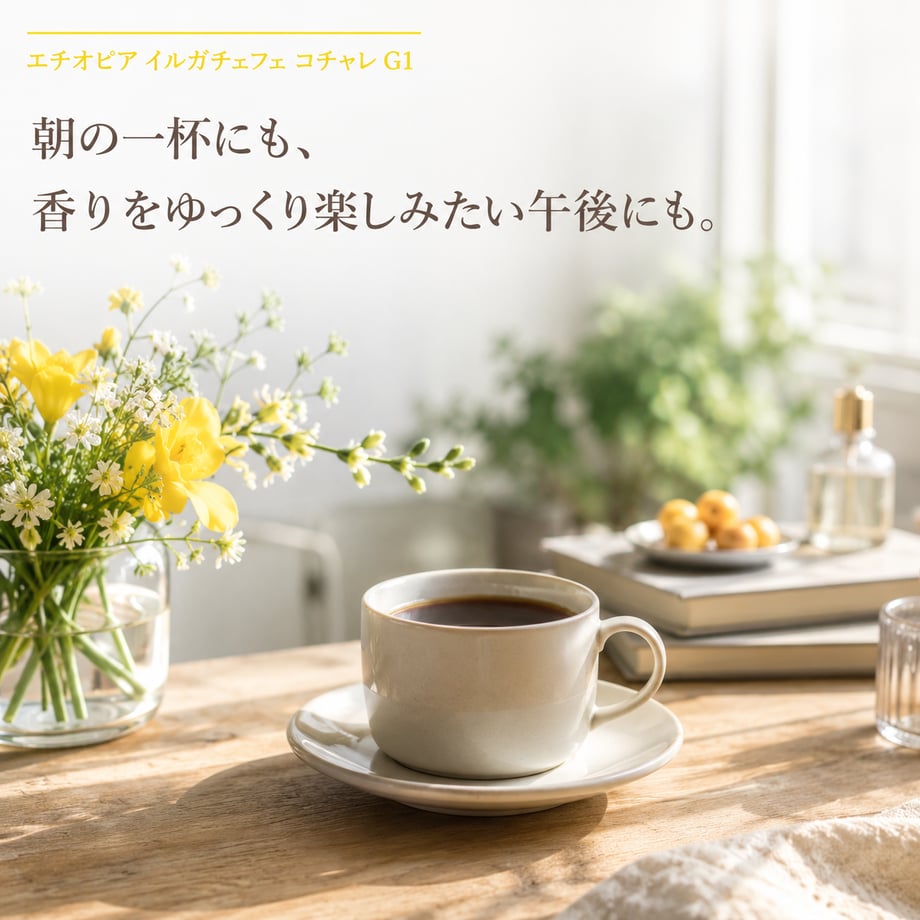 6a1527e45ab45e709a66d186