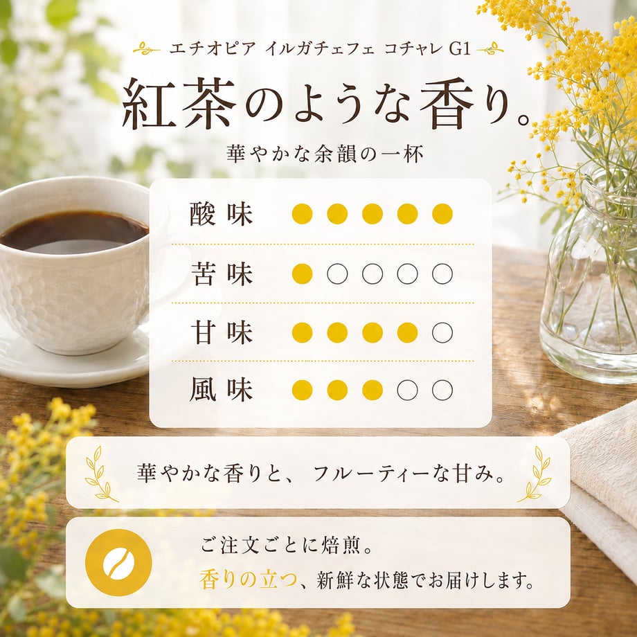 6a1527e45ab45e709a66d186