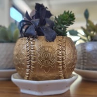 ボール鉢