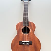 KALAコンサート　ジェームス・ヒル James Hill 【本州送料無料/チューナープレゼント！】