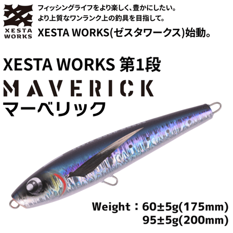 XESTAWORKS MAVERICK175