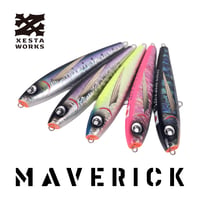 XESTAWORKS MAVERICK175