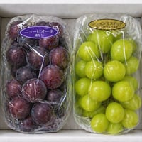 全国 送料無料！種無し皮ごと食べれる糖度16度〜20度以上『シャインマスカット・ニューピオーネ』800g以上2房セット箱入り