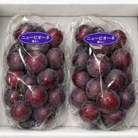 全国 送料無料！種無し大粒ぶどう糖度16度〜20度以上『ニューピオーネ』800g以上2房セット箱入り