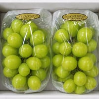 全国 送料無料！種無し大粒ぶどう糖度16度〜20度以上『シャインマスカット』800g以上2房セット箱入り