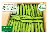 【今シーズン販売終了】そらまめ（約4kg）