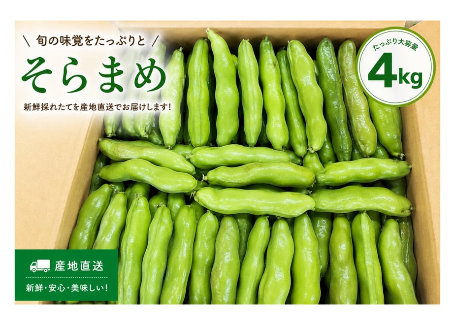 6a2108c1717c4206e39c0b60