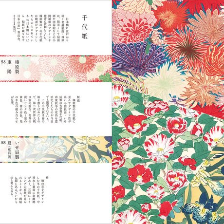【図録】櫂 舟三郎コレクション 暁斎が描いた浮世のことども —肉筆画と版画でたどるその画業—