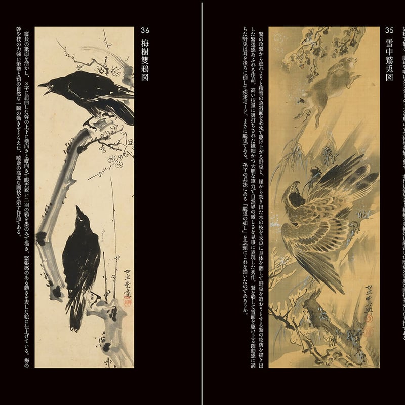 図録】櫂 舟三郎コレクション 暁斎が描いた浮世のことども —肉筆画と