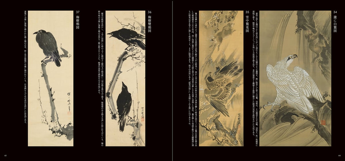 図録】櫂 舟三郎コレクション 暁斎が描いた浮世のことども —肉筆画と