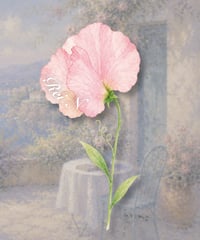 sweet pea place card/席札_花席札_スイートピー