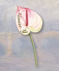 Anthurium place card/席札_花席札_アンスリウム