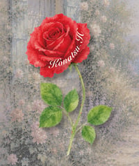 Rose place card/席札_花席札_バラ