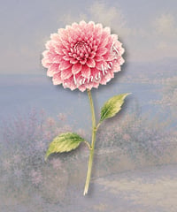 Dahlia place card/席札_花席札_ダリア