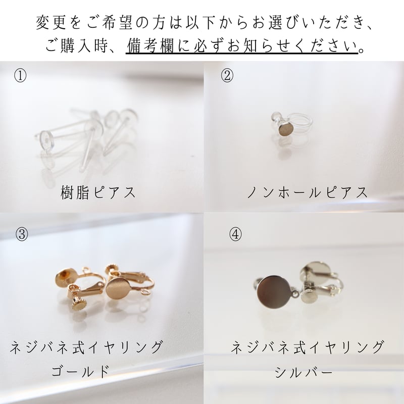 オーロラクリスタルシャワー×パールビジューピアス/イヤリング | Day