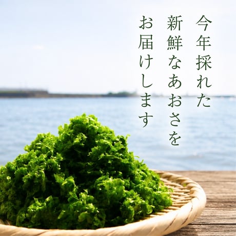 あおさ10g