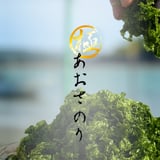 極あおさ