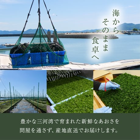 あおさ10g