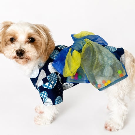 犬浴衣 | STORES