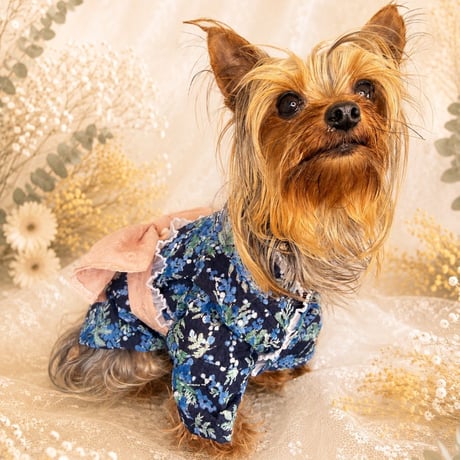 犬浴衣 | STORES