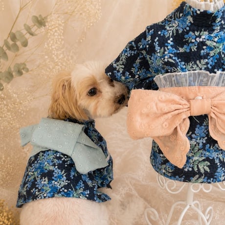 犬浴衣 | STORES