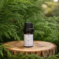 天然　杉の葉精油　Japanese Cedar Leaf Essential Oil
